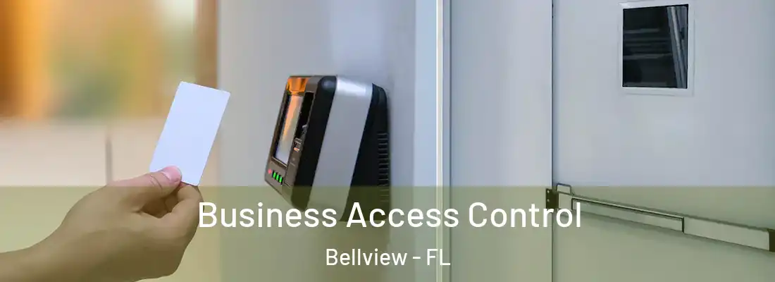 Business Access Control Bellview - FL