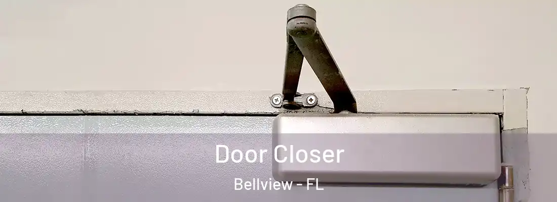  Door Closer Bellview - FL
