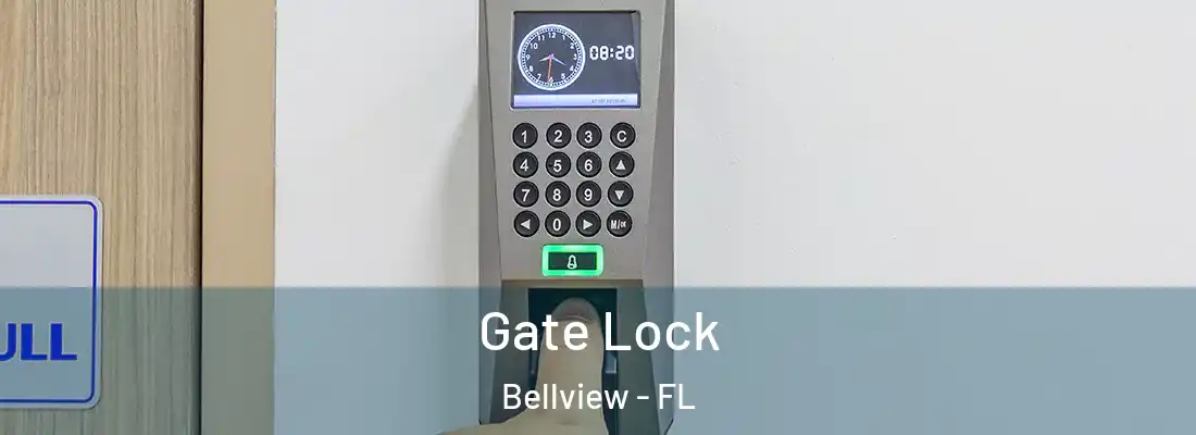 Gate Lock Bellview - FL