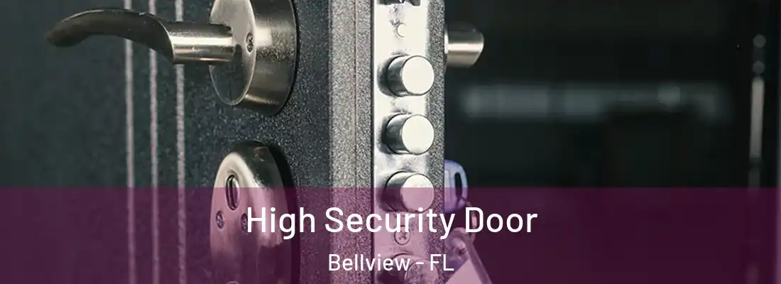  High Security Door Bellview - FL