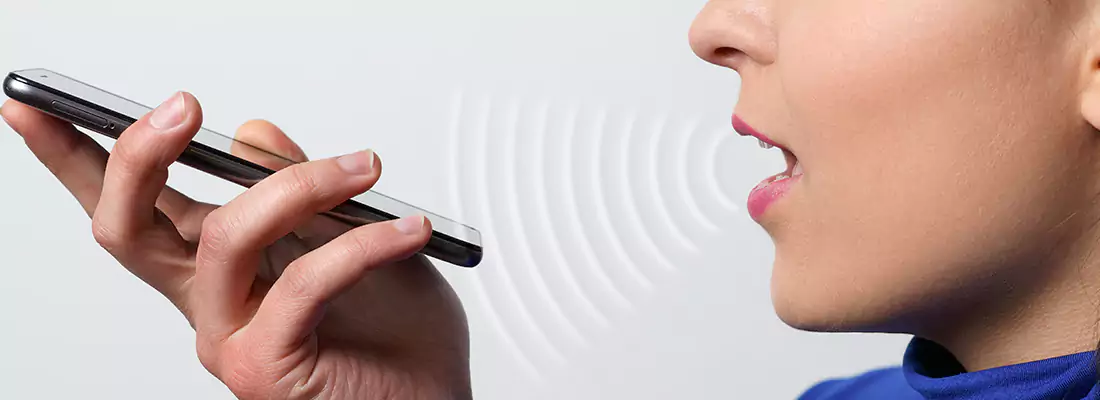 Residential and Commercial Voice Recognition Access Solutions in Bellview, FL