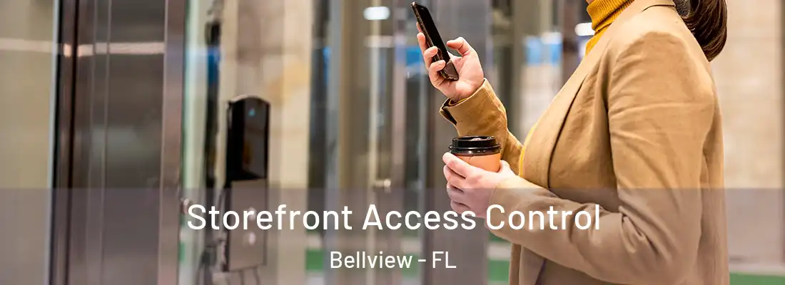  Storefront Access Control Bellview - FL